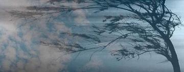 Желтый уровень: в Одесской области объявлено штормовое предупреждение